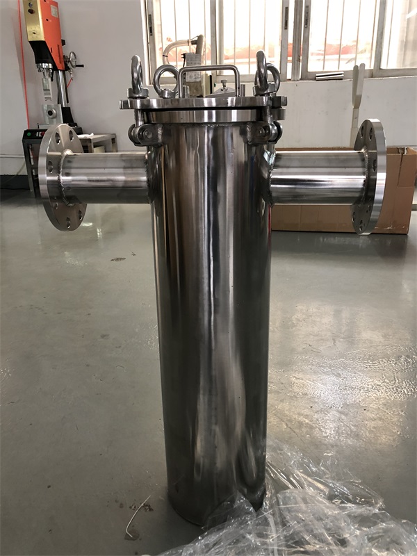 籃式過濾器(圖1)